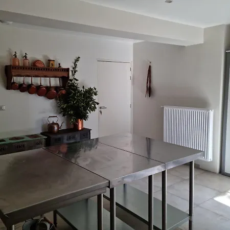 Bed & Breakfast Chateau De La Cressonniere Antigny (Vendee)