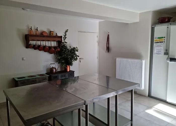 Bed & Breakfast Chateau De La Cressonniere Antigny (Vendee)