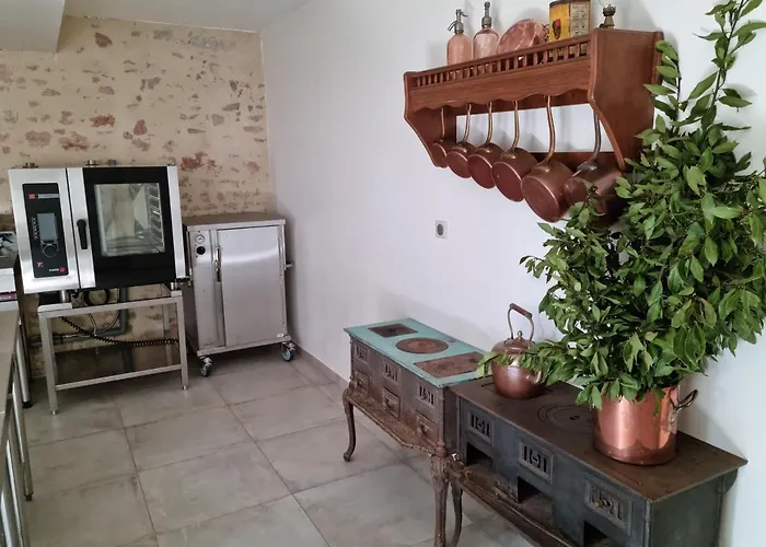 Bed & Breakfast Chateau De La Cressonniere Antigny (Vendee)